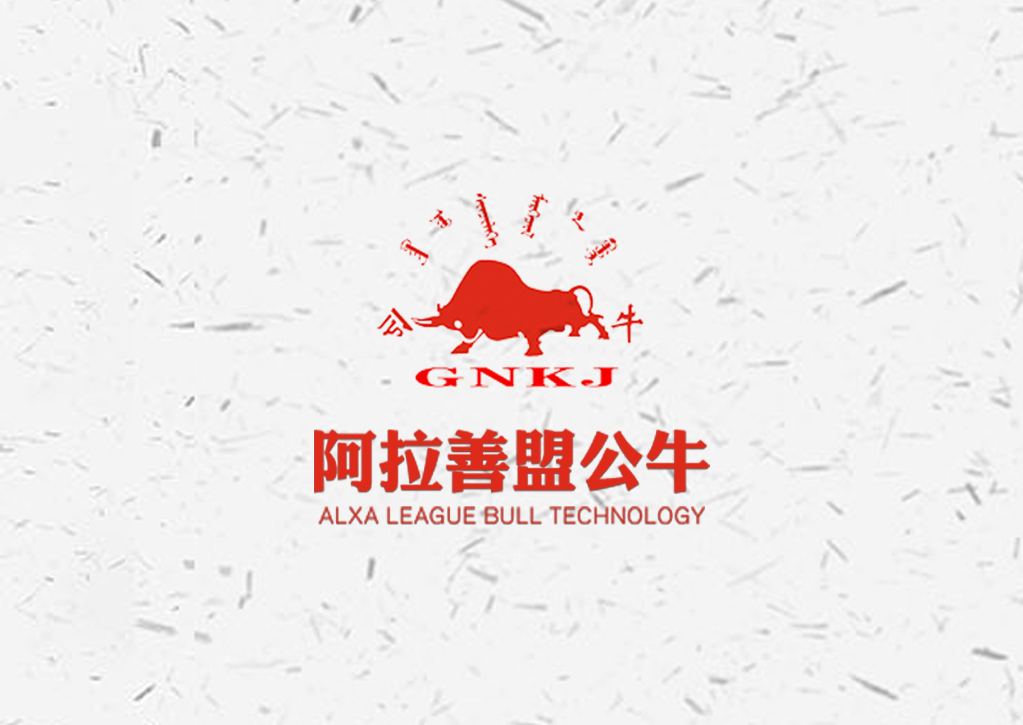 �������˹����Ƽ��������޹�˾