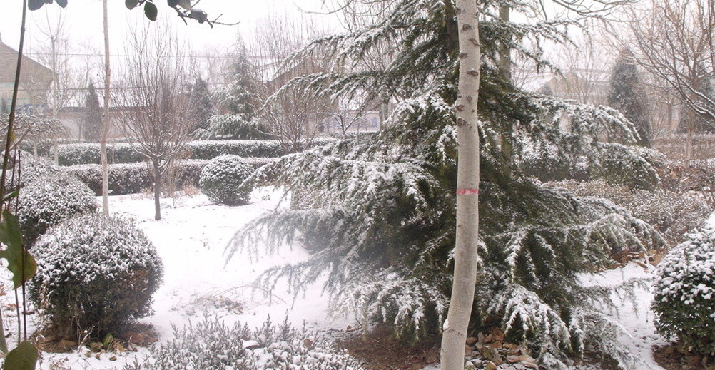 ag�ٷ���վ��(����)��ҳ���