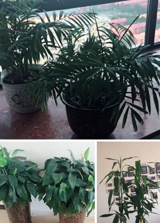 ag�ٷ���վ��(����)��ҳ���